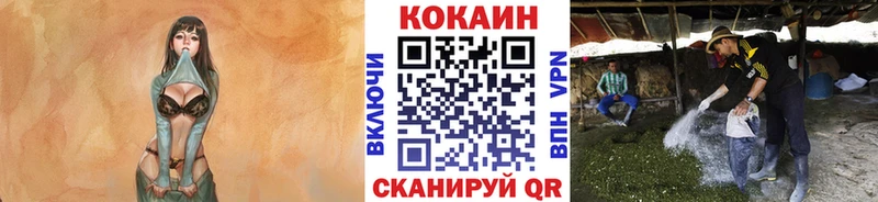 Кокаин Fish Scale  Котлас 