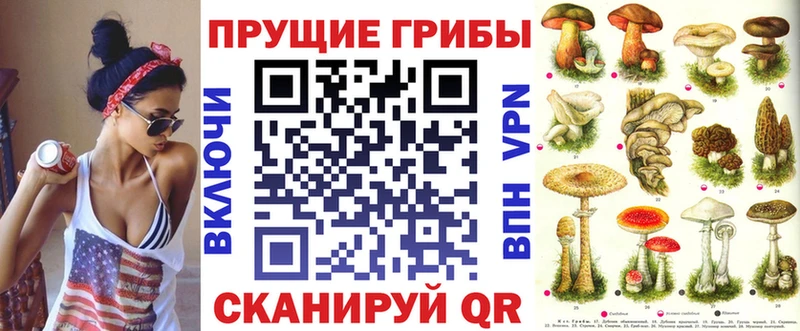 наркотики  Котлас  кракен ССЫЛКА  Псилоцибиновые грибы Magic Shrooms 
